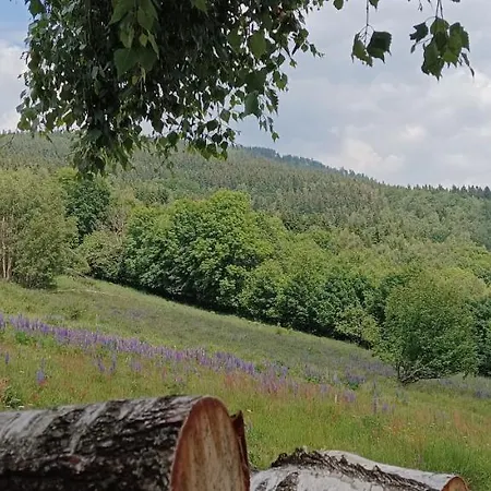 Enklawa W Porębie Domek alpejski