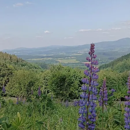 Enklawa W Porębie Domek alpejski *