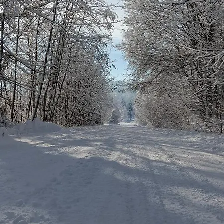 Enklawa W Porebie Chalet Długopole-Zdrój