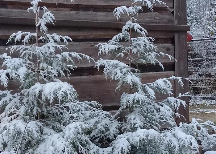 Enklawa W Porebie * Długopole-Zdrój