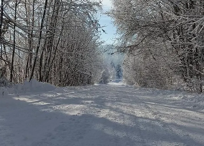 Enklawa W Porebie Chalet Długopole-Zdrój